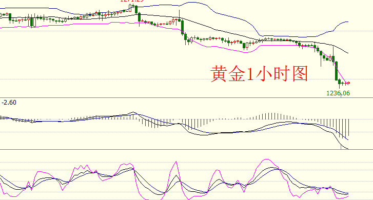 项士豪：5.4利率决议不变那么今日黄金看区间，原油看回调