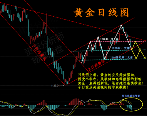 杨智宸：5月7日金银借助法国大选能否咸鱼翻身
