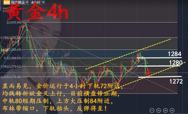 沈云伊：11.13日内先涨后跌！回调修正白盘区间1272-1278！