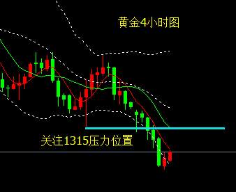 杨雯琦：黄金超跌反弹，1315支撑变阻力