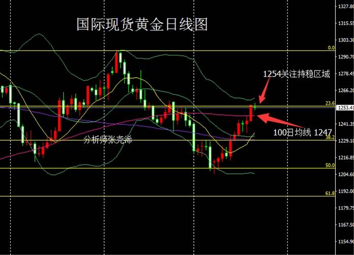 张尧浠：欧美PMI初值预期偏低、金价回落之后进多持有