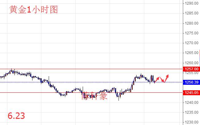 陈轩豪：6.23午夜特朗普团队被洗牌，黄金原油后市操作及解套