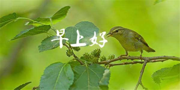 文然品金：8.10早评 消息面不断 后市黄金原油如何操作