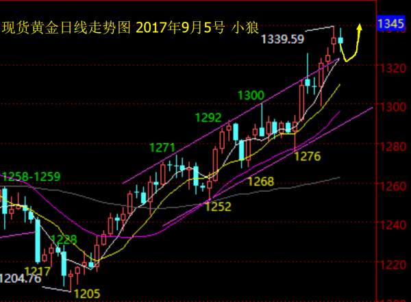 小狼：黄金1332空到1226，晚盘做多