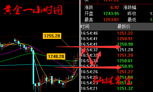 仙林聚金：6.27耶伦携重要言论来袭，晚间黄金原油操作策略(附解套）