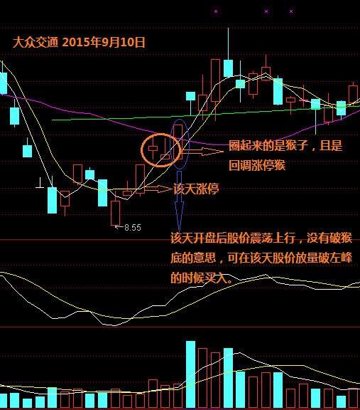 资本散帮：新股民，仅一招就能轻松盈利！
