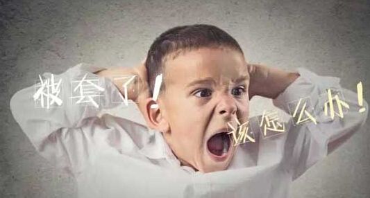 feed-image-0