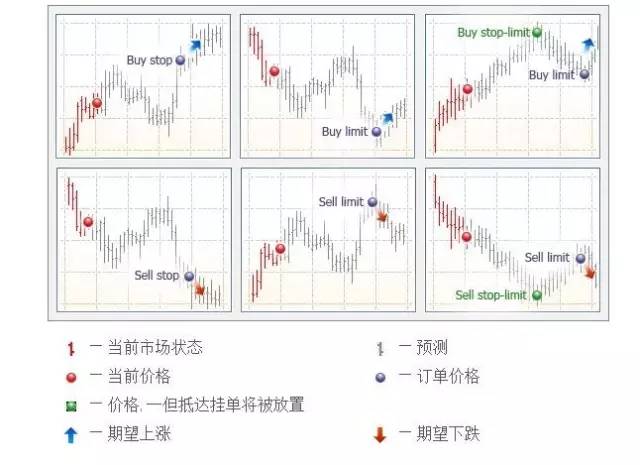 外汇订单类型