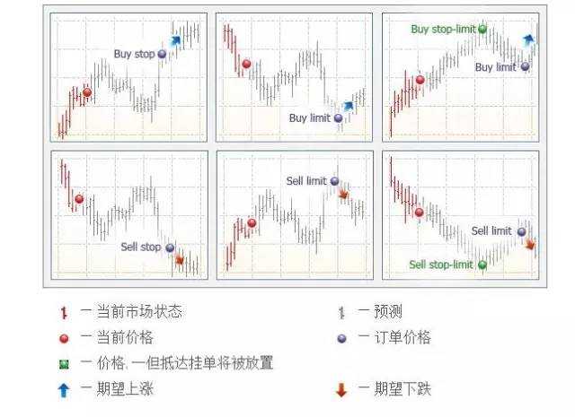 Followme订单,价格,止损,挂单,价位,止盈