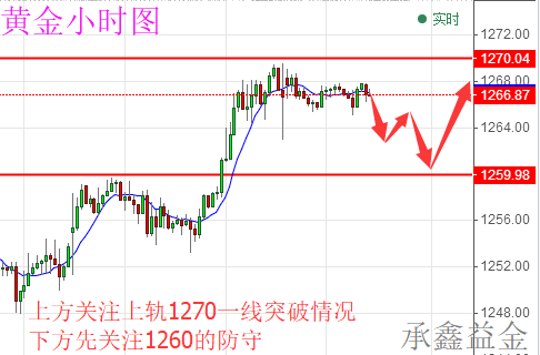 承鑫益金:5.30早评法总统顺天意赢民心 今日黄金原油操作建议