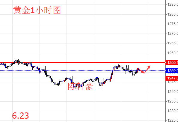 6.23周线收官避险回归,今日黄金操作及原油分析附解套