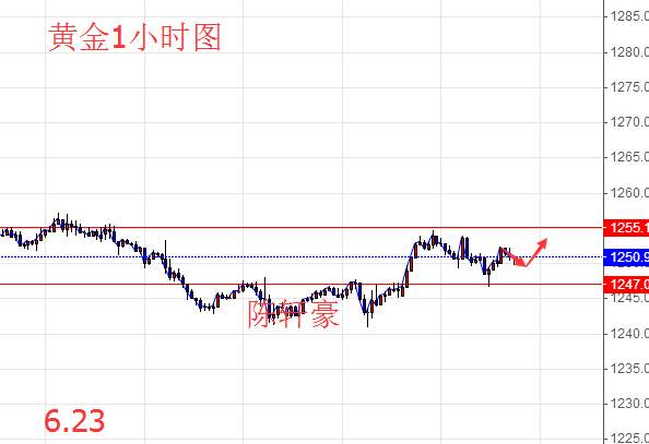 6.23周线收官避险回归，今日黄金操作及原油分析附解套