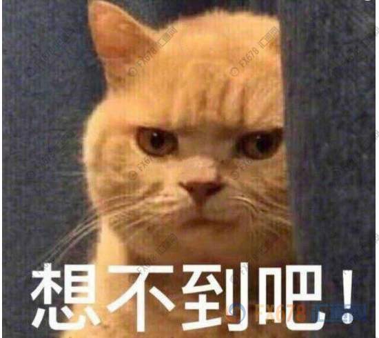英镑说反弹就反弹 惊不惊喜！意不意外？