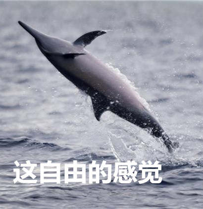 【公告】我是一篇正经的产品升级公告