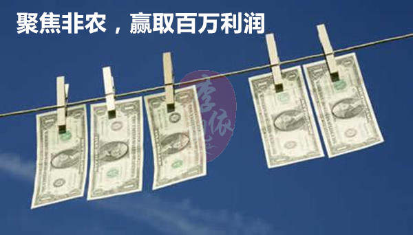 李靓依：10.31月线收官黄金有惊喜？上方压力暂看1280！黄金空单被套