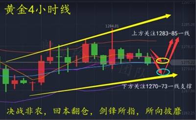 曾馨瑜：11.3非农大战全力出击誓与满载同归