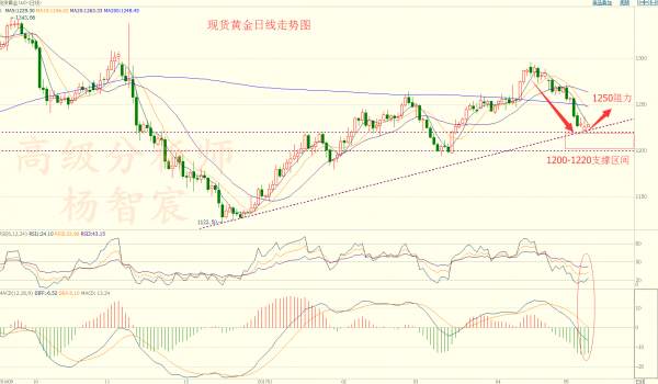 杨智宸5月9黄金白银强势低开，加息预期下能否反弹