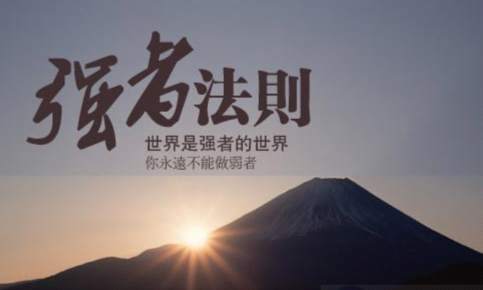 卢政旗：金融市场新手学会这四点就能走出一条稳健的路