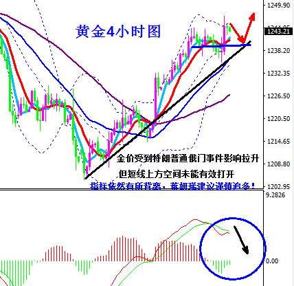 蒋妍琋：关注特朗普“通俄门”事件 日内黄金原油操作建议