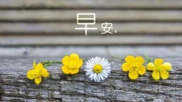 王圭吾：4.25早评黄金白银原油分析及操作策略