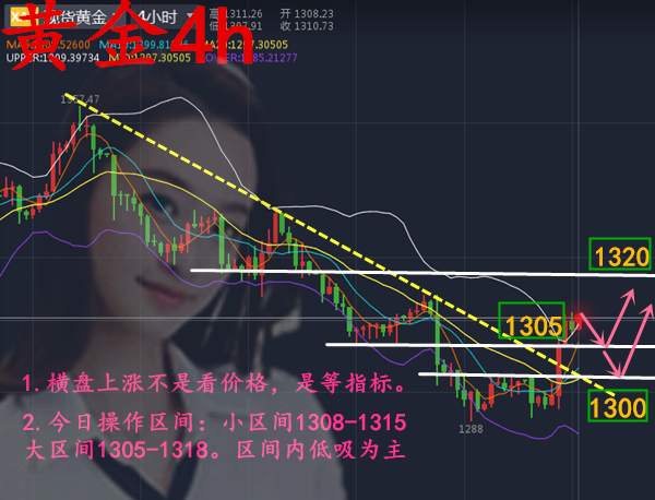 黄金静待欧盘择机多单进场，赚钱必先空单解丶套！