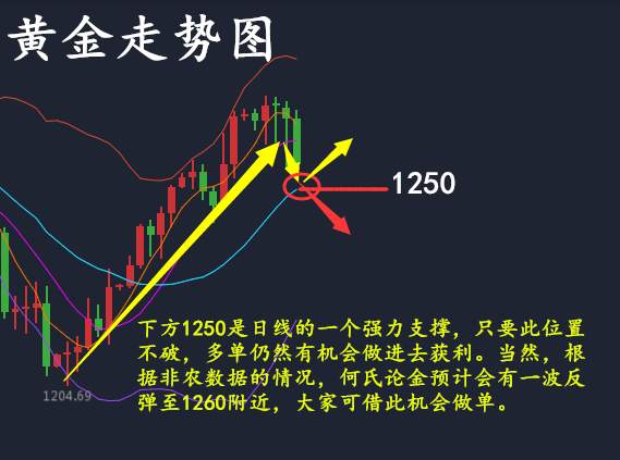 何氏论金为何非农暴跌亏损依旧，8.4-8.5黄金操作附解套