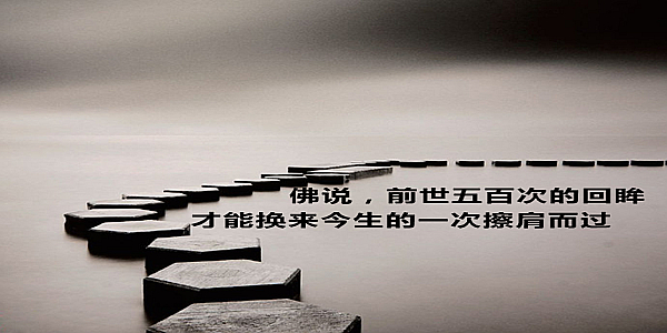 feed-image-0