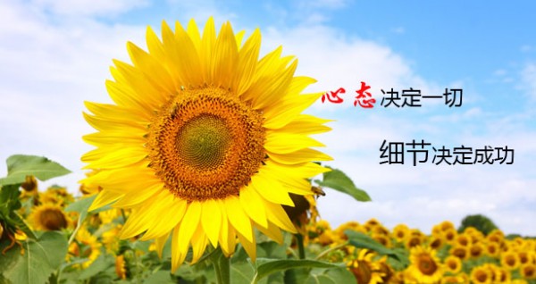 宋阳峰:5.29早评黄金原油走势分析级操作建议