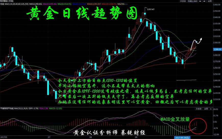 Followme黄金,位置,行情,空单,反弹,低点