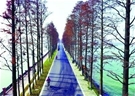 feed-image-0