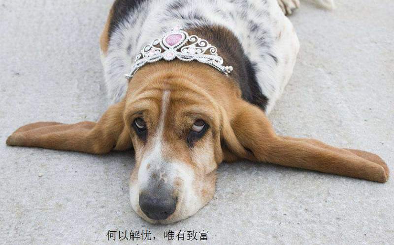 交易大赛还有132小时，冠军花落谁家有谁知？