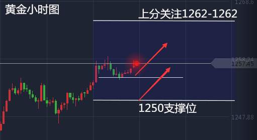 Followme趋势,低点,高点,黄金,小时,级别