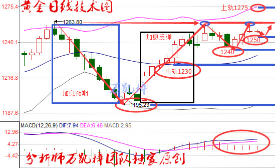 万凯梓:黄金承压于1260静待小非农 API利多原油上看52