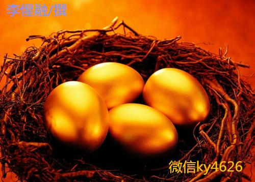 feed-image-0