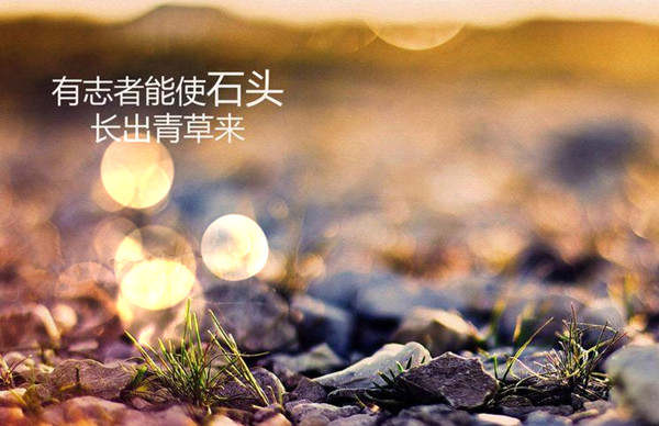 黄金逼近千三关口，是进，还是退？自有分晓！