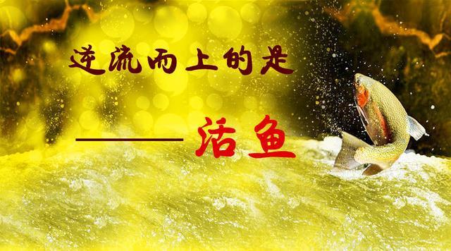 钱奕颖：5.6周评法国大选众翘首，金油切勿盲目抄底