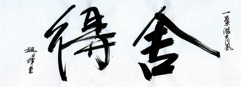 论金融市场中的“舍与得”