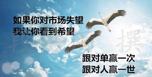 段浩雨：黄金原油投资中亏损了如何补救？应该注意哪些？