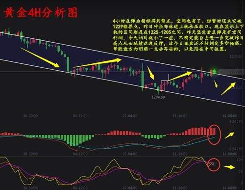 佳丽点金：7.14周线收官 早评黄金原油行情分析及操作策略附解套