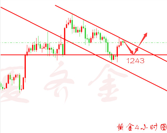 夏齐金：4.3黄金回落依旧多，原油依旧回撤做多