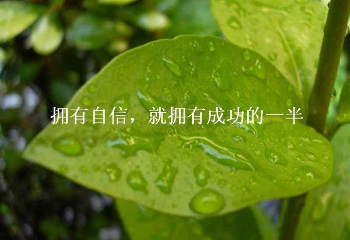 宋清婉：11.29教你如何巧看k线