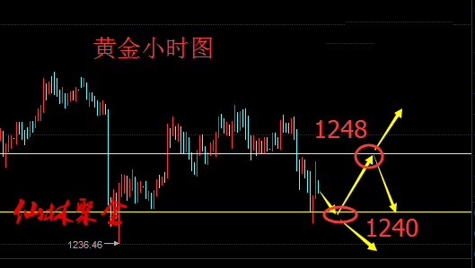 仙林聚金:7.2-7.3七月“超级周”强势来袭,原油黄金开盘走势预测