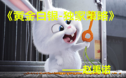 赵禹诺:6.11黄金且看美联储决议 周初黄金原油走势预测及操作策略
