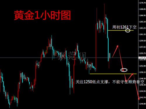 张菀玥：4.9-10黄金周初看回调，原油趋势上涨防日线级别回落