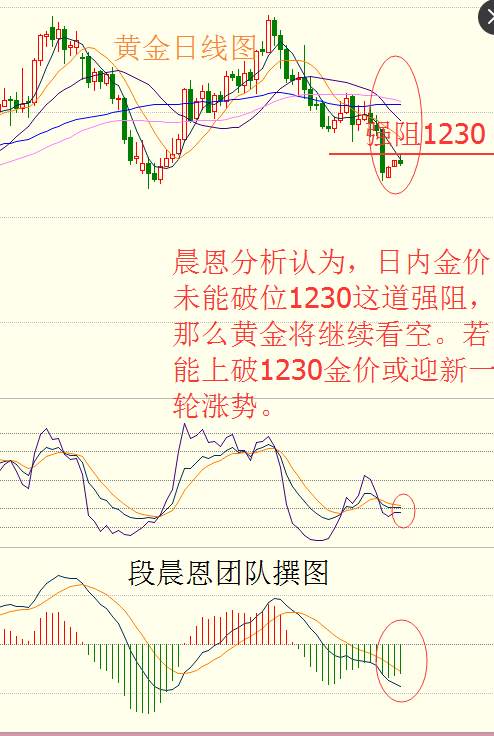 段晨恩：美纪要发布有惊无险，黄金走势关键阻力看1230