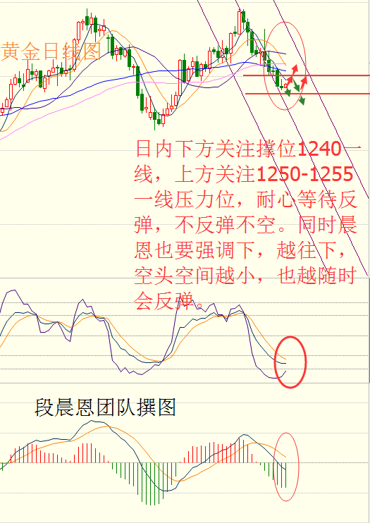 段晨恩:英国脱欧首场谈判因千亿分手费僵持,黄金1240或是底部