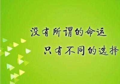 Followme平台,磐期,保证金,资金,交易,波动