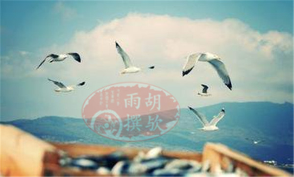 feed-image-0