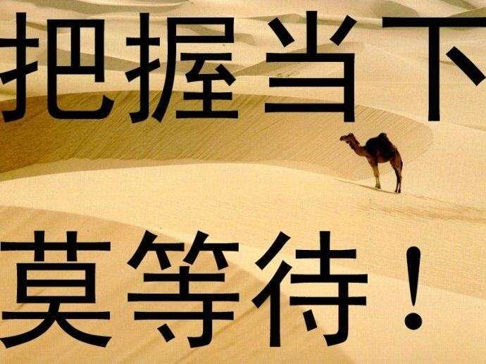 朝花金拾：10.20一个人有多成功,要看他有谁相伴 !