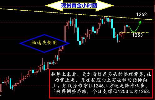 杨逸庆：减产延期今揭晓，原油市场始预热5.25黄金白银